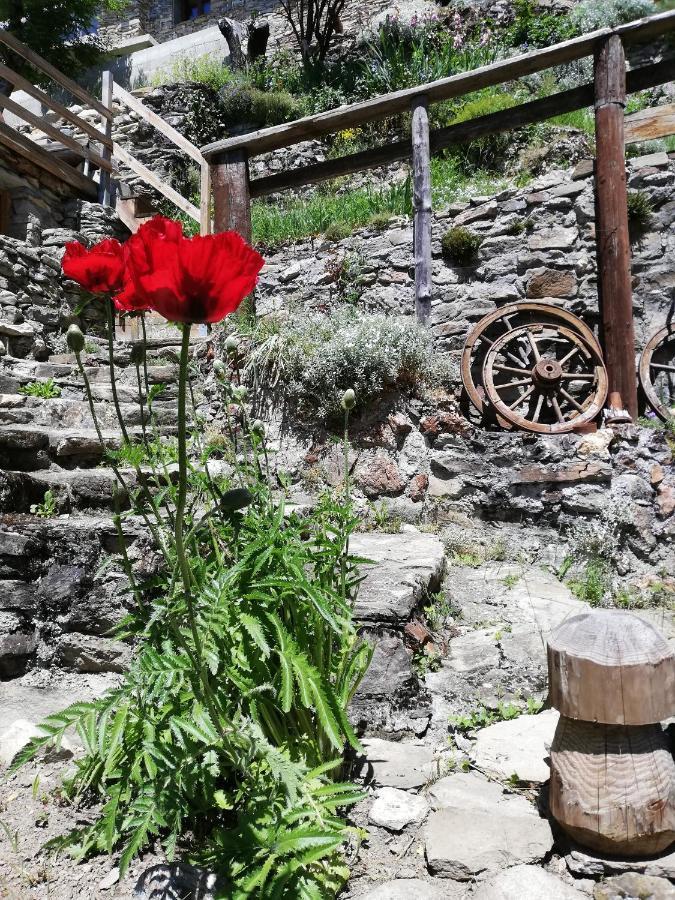 Maison De L'Epine -Spa- Versant Du Soleil Granier Luaran gambar